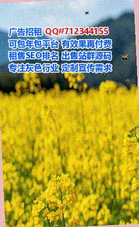 侗族IVF货运公司